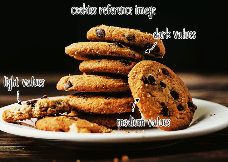 Foto de referencia de galletas con zonas de valores claros, medios y oscuros señaladas