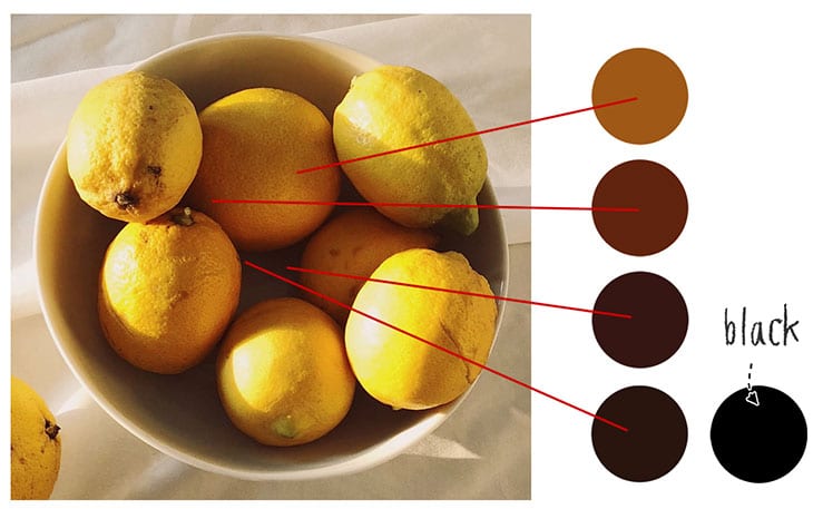 Bol con limones y muestras de los colores de sus sombras, que van del naranja al marrón oscuro