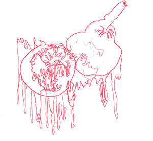 Dibujo de contorno en rojo de una fruta abierta con líneas que caen