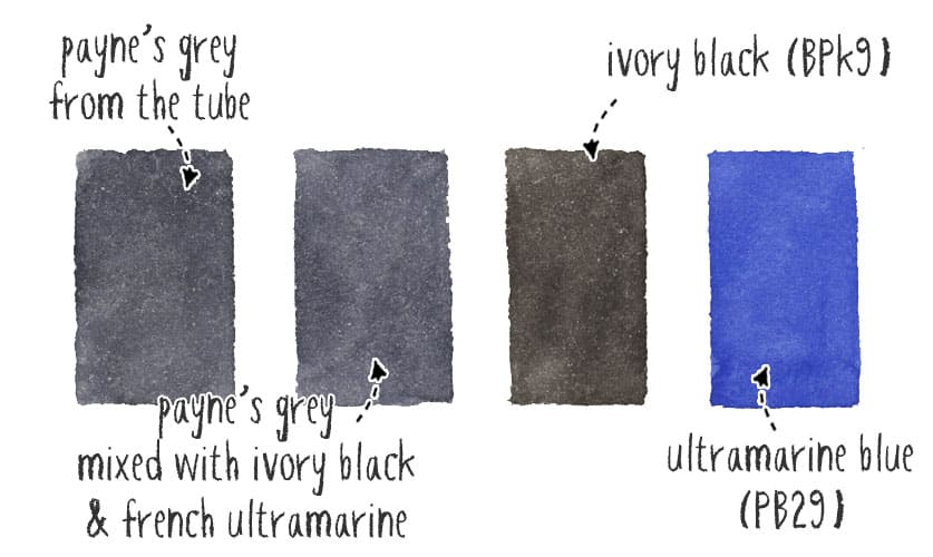 Cuatro muestras: gris de Payne de tubo, gris de Payne mezclado, negro marfil y azul ultramar