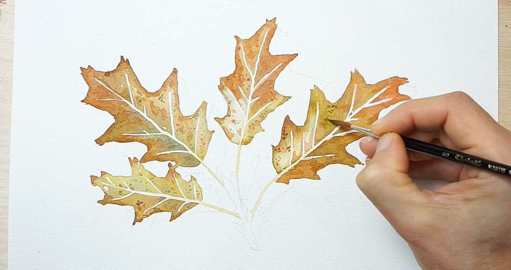 Hojas de roble con texturas de puntos y manchas añadidas sobre papel seco